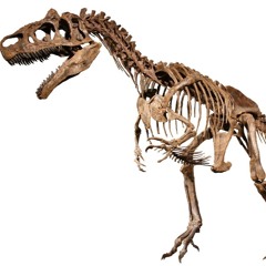AloSaurus