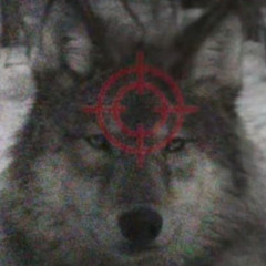 222[soundclouddown]222