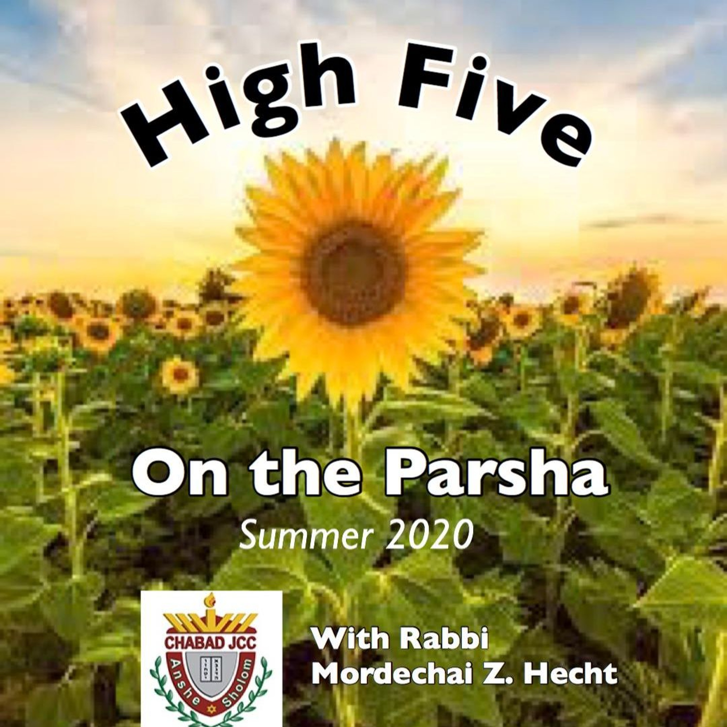 High Five on the Parsha Chukas/Balak 5780:  Preach What You Practice episode artwork
