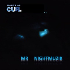 Mr Nightmuzik