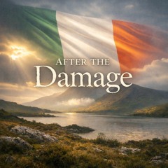 After the Damage