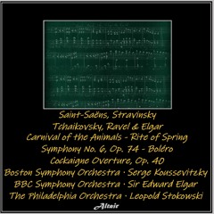 Symphony No. 6 In B-Minor, Op. 74: Ii. Allegro Con Grazia