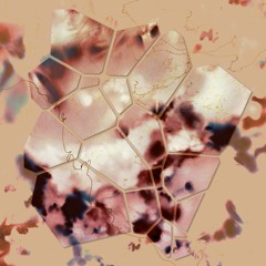 Glass Garden 012 | rodhjigger — The Whole Earth is Medicine