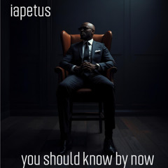 iapetus - You Should Know By Now (Flip Mix)