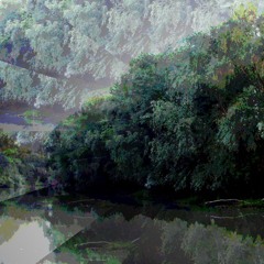 The Willows (disquiet0652)