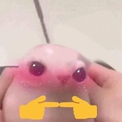 Wth-Irc Slowed (mess with me meme)