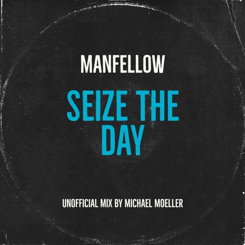 Manfellow - Seize The Day (unofficial mix by Michael Moeller)