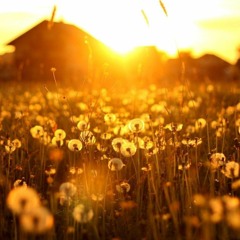It Is Still Summer Inside Me
