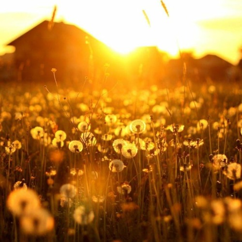 It Is Still Summer Inside Me