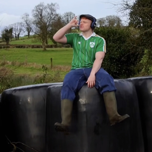 protein bor birds in the car