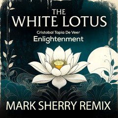 Cristobal Tapia De Veer - Enlightenment (Mark Sherry Remix)