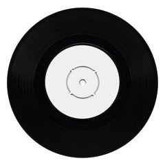 While The Record Spins x Beat the System (Dom Dolla Edit / Stevo Remake)
