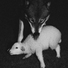 Schizophoria - WhatHappenedToForeverGirl? (Cover) (uv6X7)