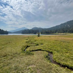 Collateral Damage (prod. Frappy Beats)