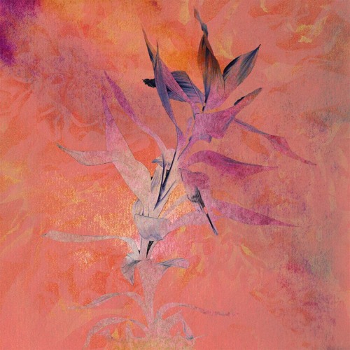 Nahokimama, FloFilz, Toshiki Soejima - Midnight