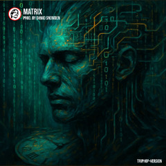 Matrix (TripHop Version) - Prod. by Dawid Snowden