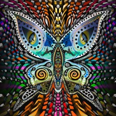 Butterfly Fx x Allan Watts (edit)