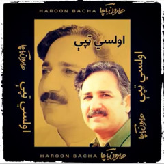 Khawanda Biya de pasarlay ko haroon Bacha Tappy tiktok