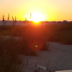 Sunshine