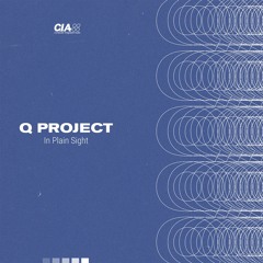 CIAQS052.3 - Q Project - Chapter 13