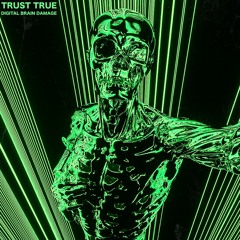 Trust True - Digital Brain Damage