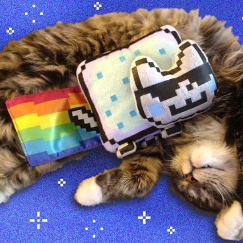 nyan cat [added tracks + sped up]