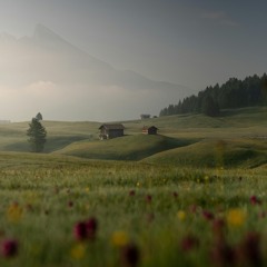 No Man's Land