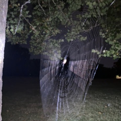 untitled 444 (feat. JRDN & FLVCK30)