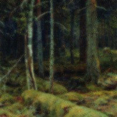 Lament of the Willow