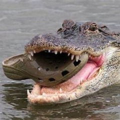 VERSACE ALLIGATOR