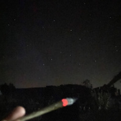 Trapplonely - Unapologetic