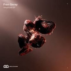 Fran Garay - Modularity