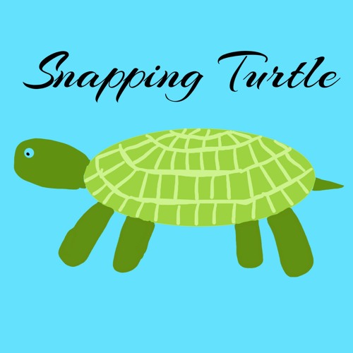 Eamon - Snapping Turtle