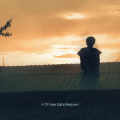 A 15 Year Old's Requiem