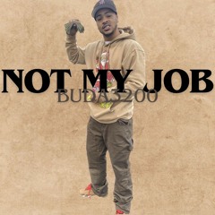 NOT MY JOB X BUDA3200