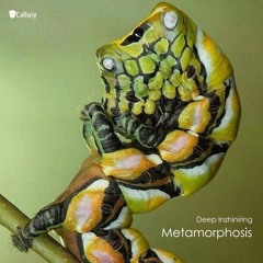 Deep Inzhiniring - Metamorphosis