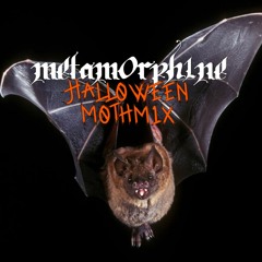 Morning After Dark - Halloween Mothmix