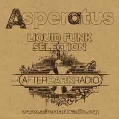 AfterDarkRadio - Liquid Funk Selection