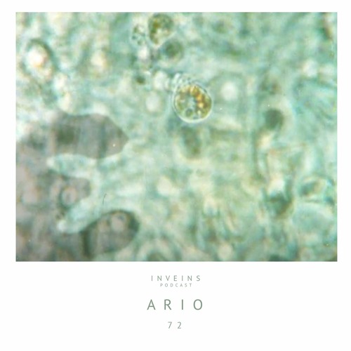 INVEINS \ Podcast \ 072 \ Ario