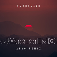 JAMMING Afro Remix Schnauzer