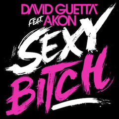 Akon - Sexy Bitch (TAKI 2024 Remix)