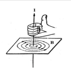 spiral jetty "i spit on your groove" (SCRPT001)