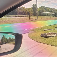 rainbow road jungle mix