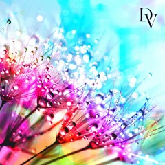 Raindrops - Daniel Verstappen