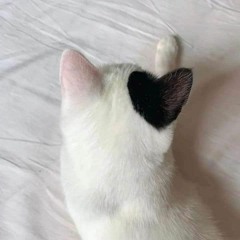 hardrock - heart (saint)