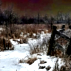 cㅇnτinuιty⤤⤦