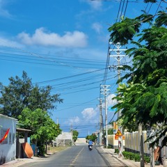 Phi điểu và ve sầu (phiến lá tĩnh lặng)