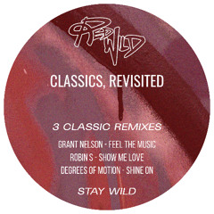 Degrees of Motion - Shine On (Red Wild Remix)