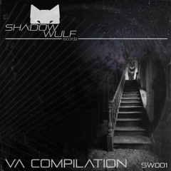 Premiere: Random Flow "Searching Reality" (Original Mix) - Shadow Wulf