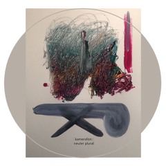 kamerafon - the neuter plural - 01 lauds
